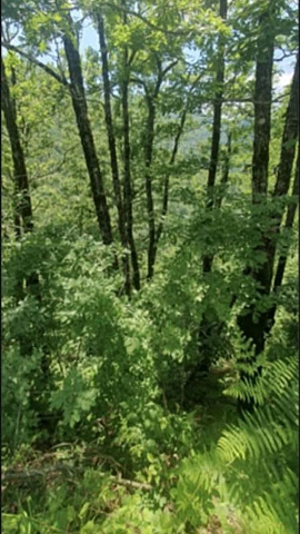 Premium Development Land | Kolašin